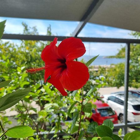 Apartman Ruza Podgora Exterior foto